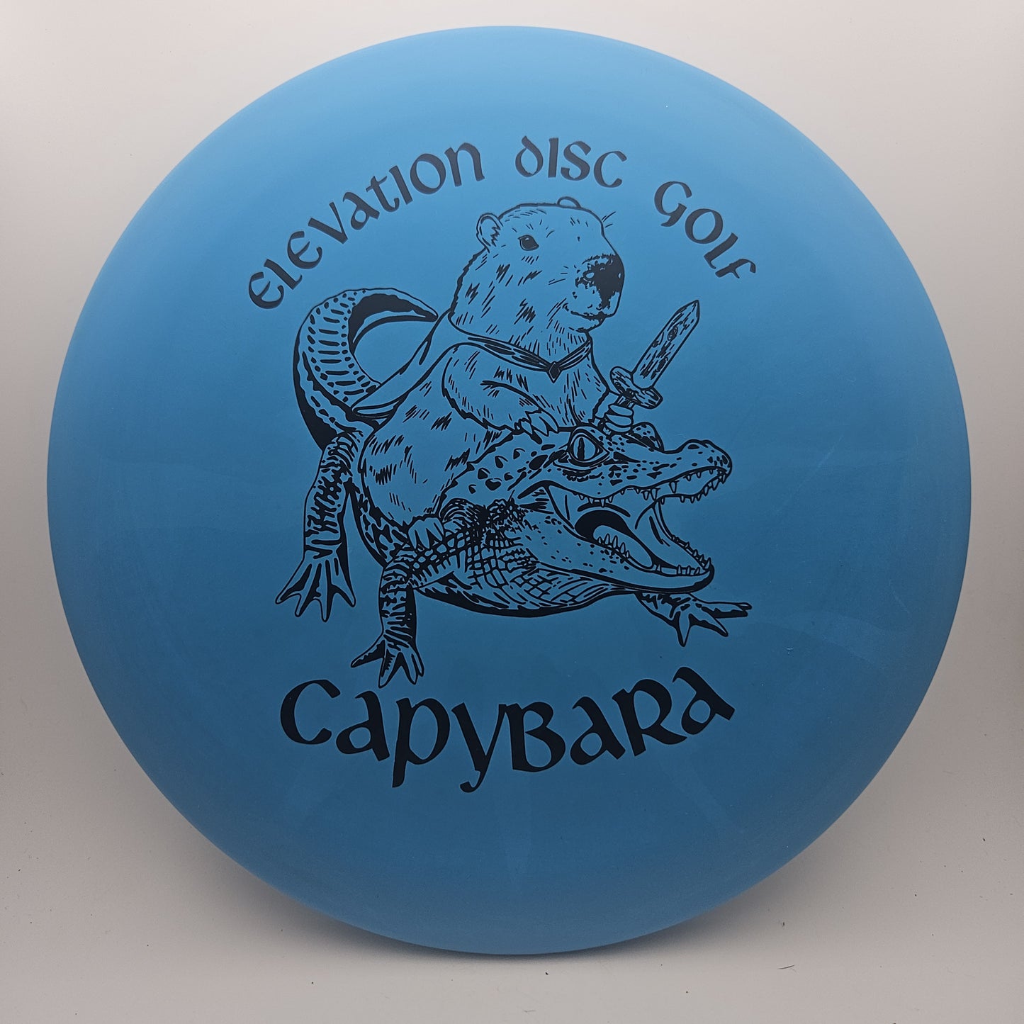 #14331 178g Blue EcoFirm Capybara