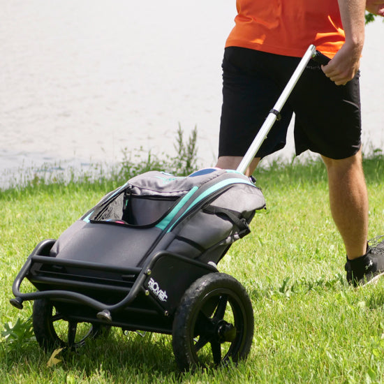 Rover Cart