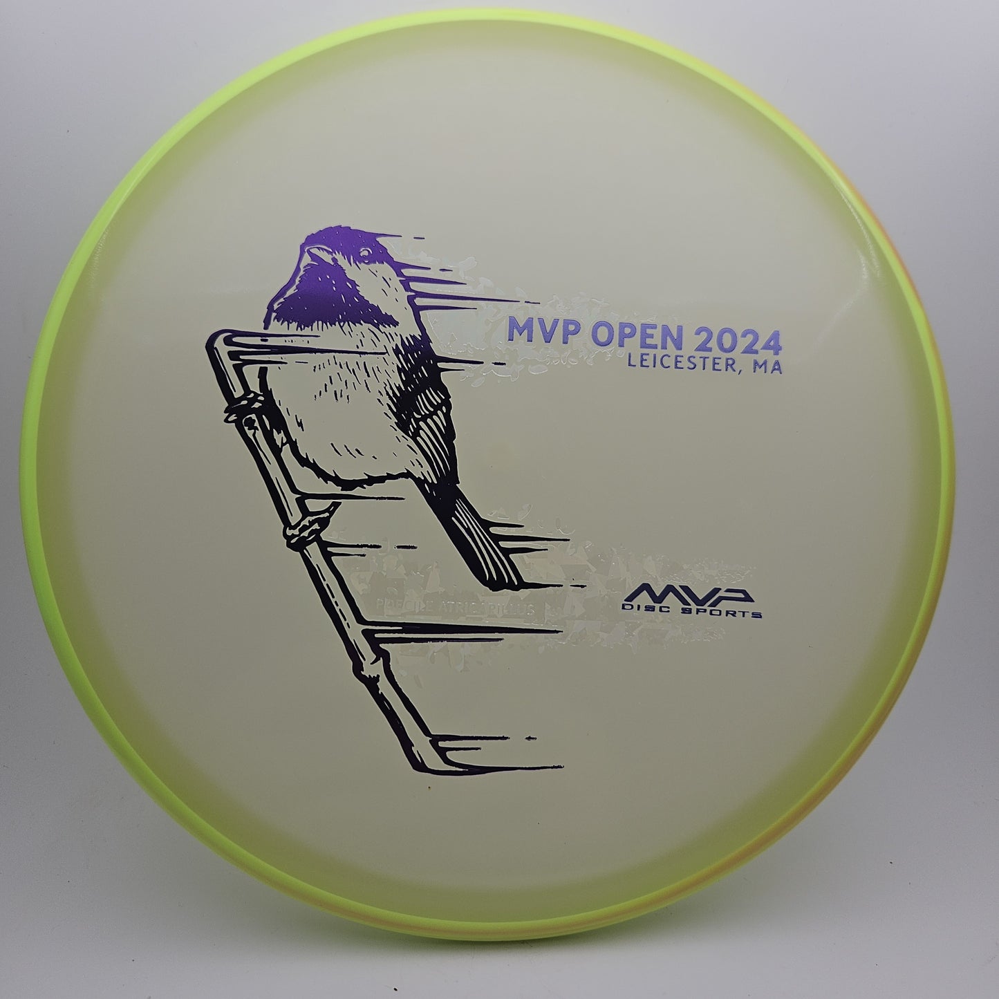 #8358 175g Glow / Dayglo, MVP Open 2024 Eclipse Tempo