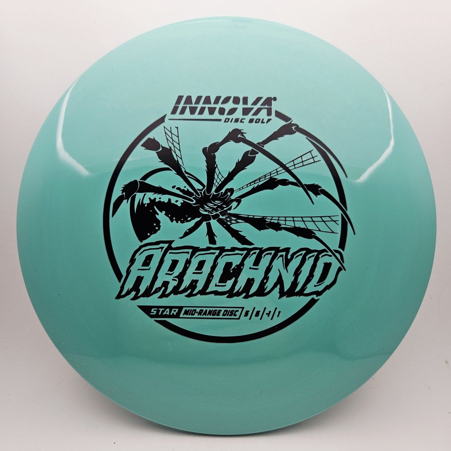 #18611 169g Teal Star Arachnid