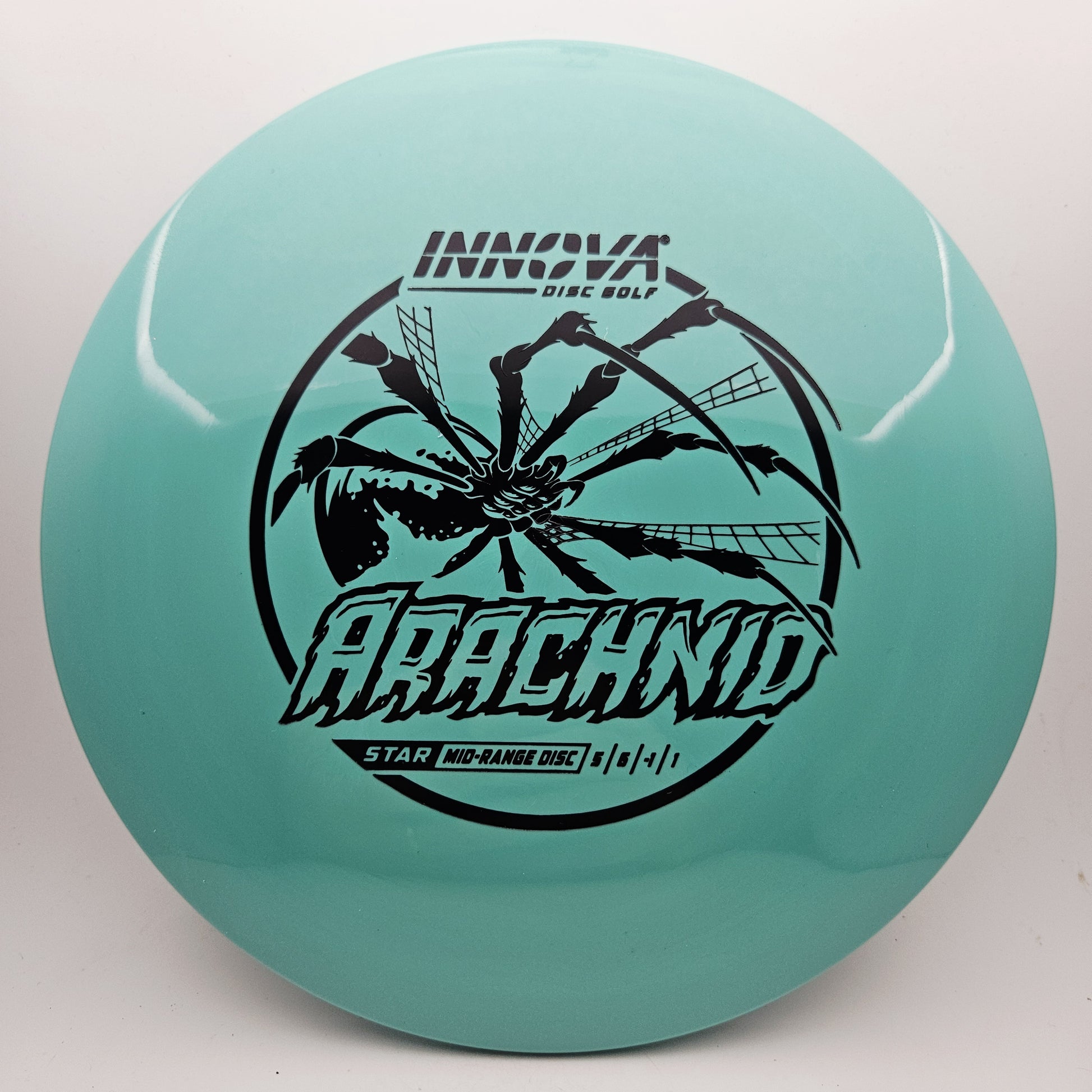 #18611 169g Teal Star Arachnid