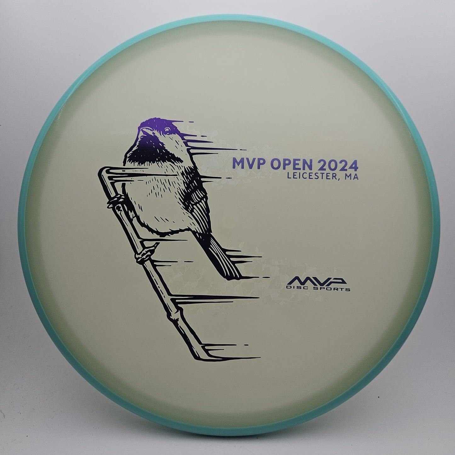 #9888 174g Glow / Teal, MVP Open 2024 Eclipse Tempo