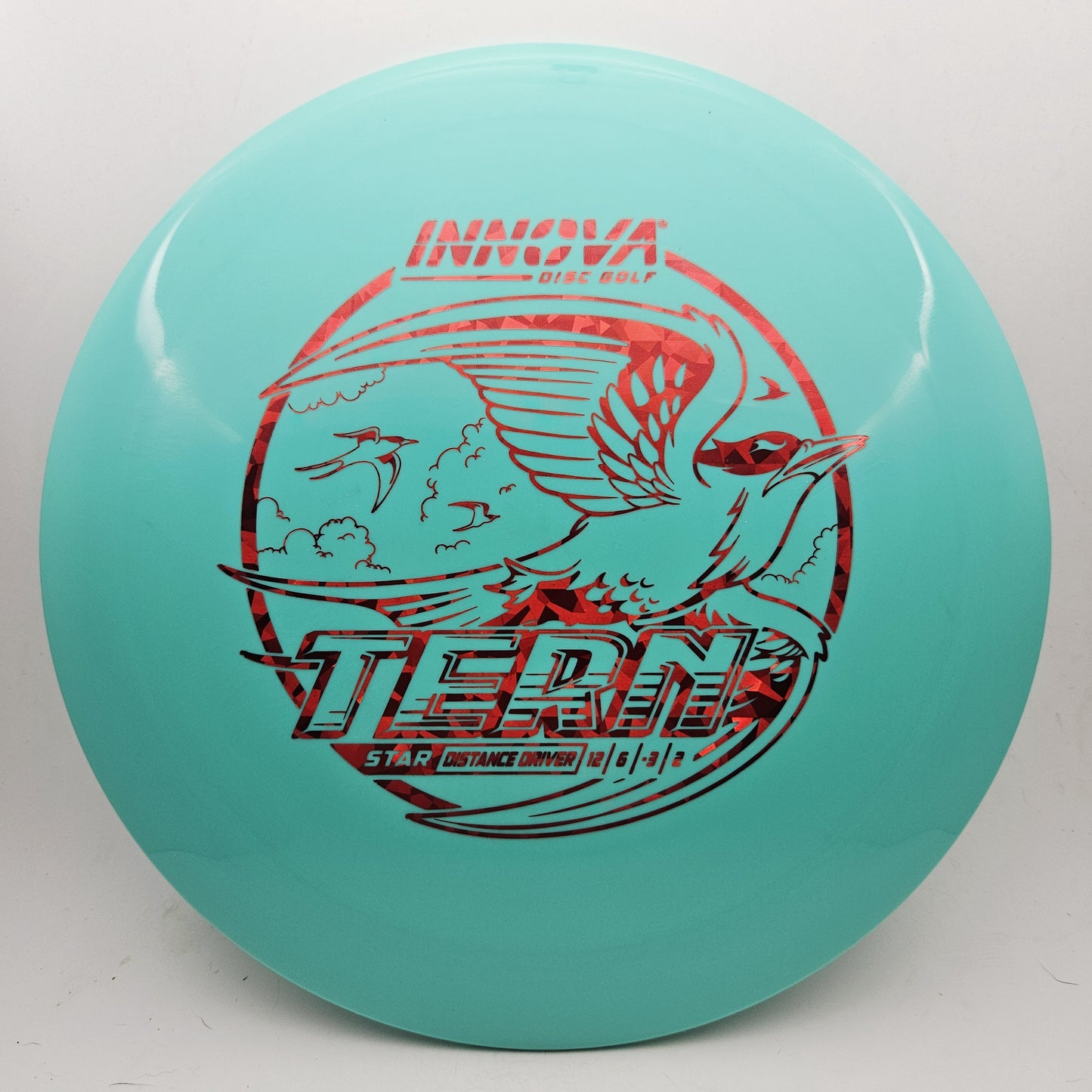 #19676 173-5g Teal Star Tern