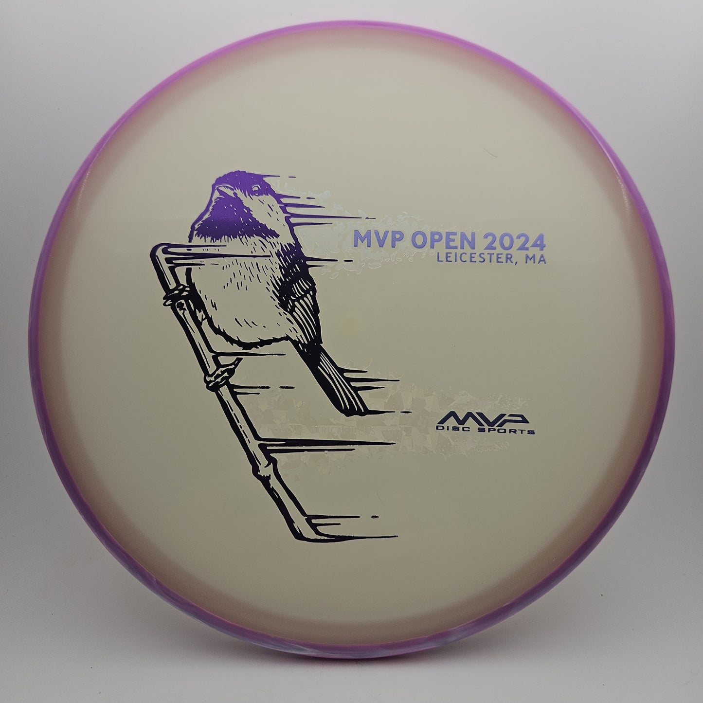 #8366 171g Glow / Purple, MVP Open 2024 Eclipse Tempo